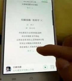 网友爆料歌曲视频播放下载,歌曲视频播放下载新玩法，揭秘热门音乐背后的秘密