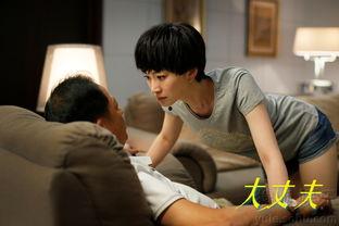 大丈夫电视剧全集在线观看,重温经典，感悟人生百态