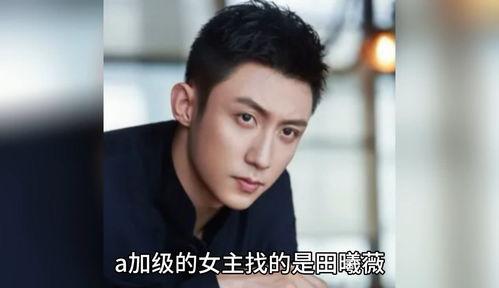 娱乐圈吃瓜爆料陈赫是谁,娱乐圈吃瓜爆料中的焦点人物